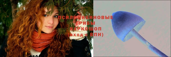 винт Аркадак