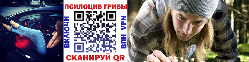 кракен ссылки  Баймак  Псилоцибиновые грибы Psilocybe  закладка 